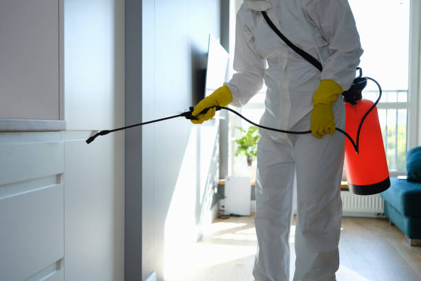 Mold Testing and Removal in Gilbert, IA